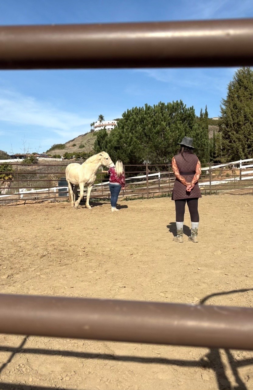 Dr. Mojiana Moghadam standing with a horse in an outdoor arena.